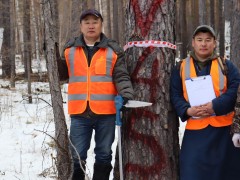 Ерөнхийлөгчийн зарлигаар Байгаль орчны салбарын ахмад ажилтан ойн аж ахуйн инженер Батгомбын Отгонсүрэн Байгаль орчны гавьяат ажилтан цолоор шагнагдлаа